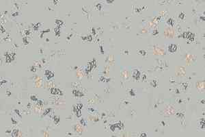 Линолеум Taralay Premium Poesy 2750 Ellipse фото  | FLOORDEALER